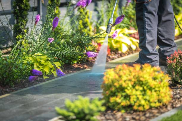 Best Sidewalk and Walkway Cleaning  in Donora, PA